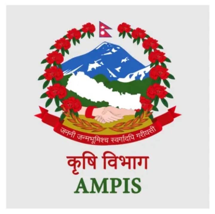 १२ वटा कृषि बजारको दैनिक थोक मूल्य अब मोबाइल एपमार्फत उपलब्ध